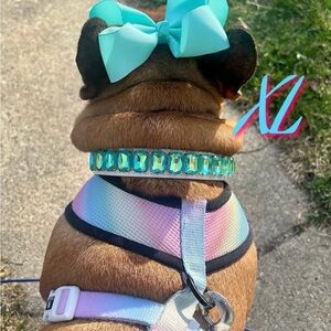 Luxury Leather/Austrian Crystal Gemstone Collar